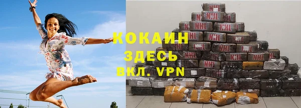 гидра Кинешма