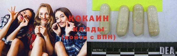 гидра Кинешма