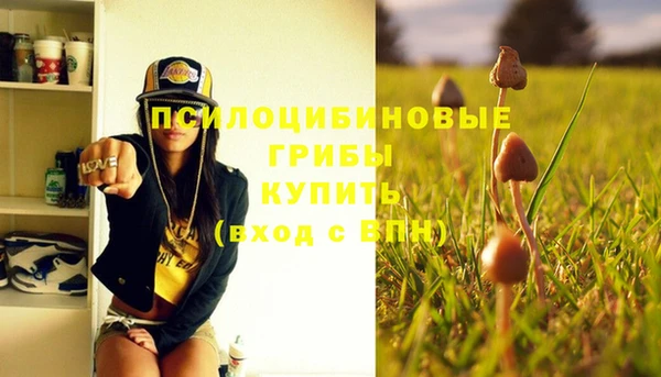 гидра Кинешма