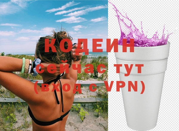 шишки Чита