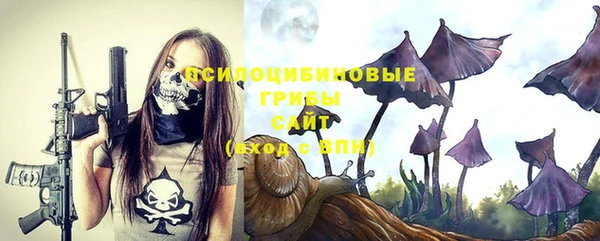гидра Кинешма