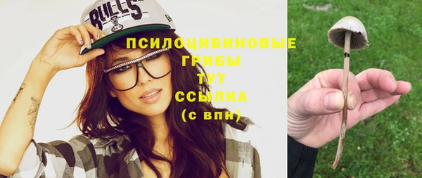 гидра Кинешма