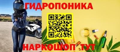 стафф Кинель