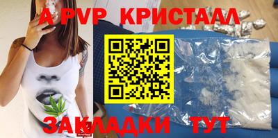 стафф Кинель