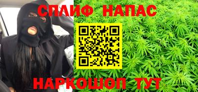 ECSTASY Кингисепп