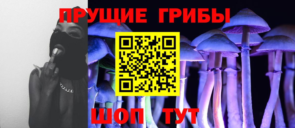 Галлюциногенные грибы прущие грибы  Вход с VPN  Сокол 