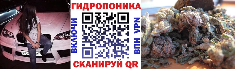 Конопля марихуана  дарнет шоп  Сокол 